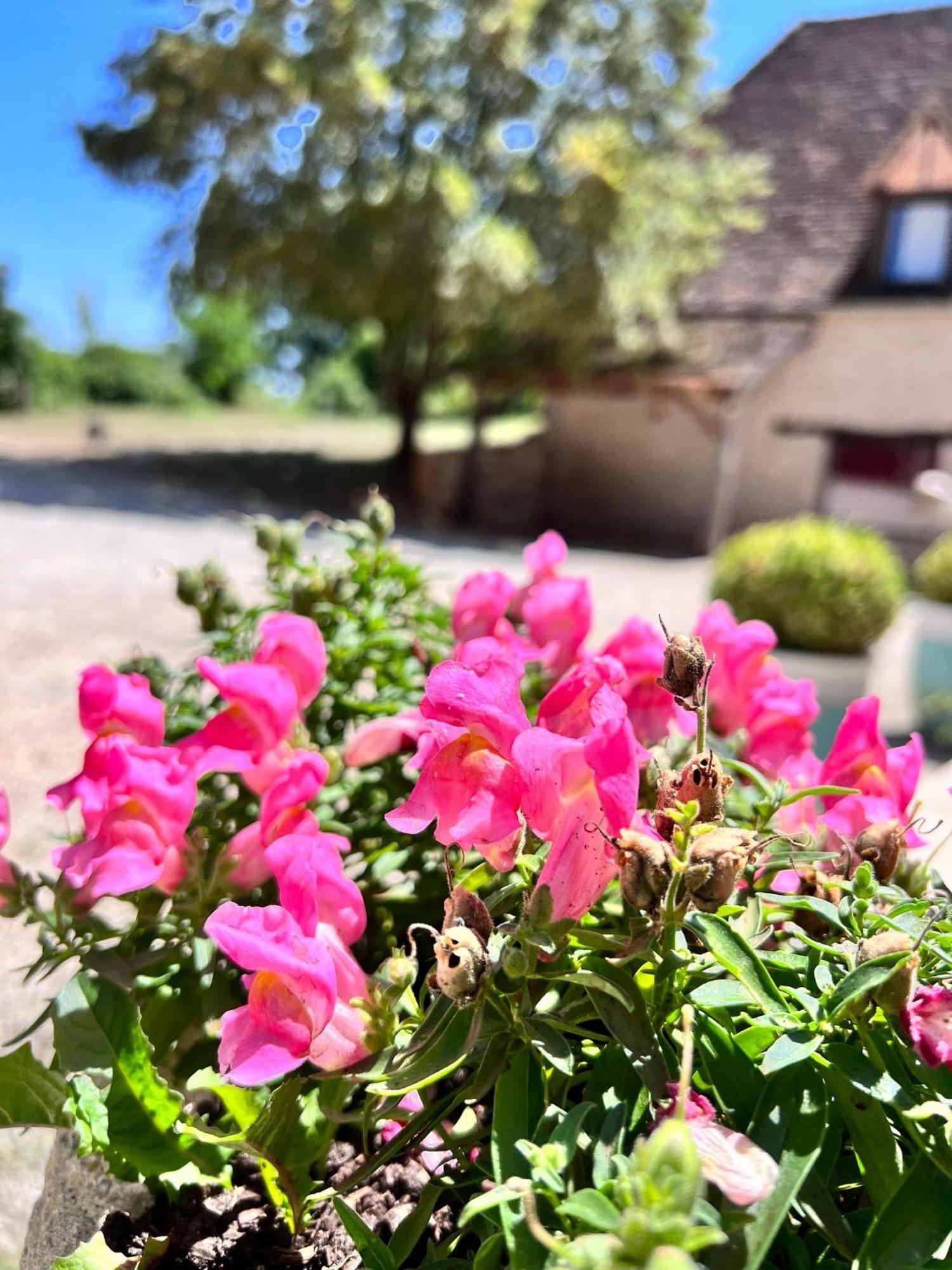 Hotel Les Vieilles Tours Rocamadour Eksteriør bilde